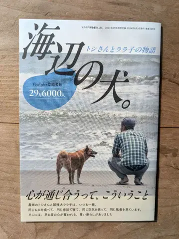 시골 생활 본 바닷가 개 부록만 2024년 8월호