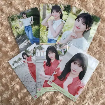 =LOVE 이코러브 브로마이드 컴플리트 노구치 이오리 바다 레몬