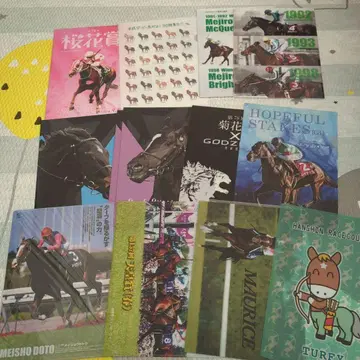 경마 관련 클리어 파일 세트