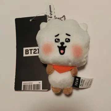 BT21 봉제 인형 키링 꺄~ TODAY'S FACE RJ