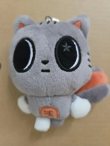 뿔바투 다고냥 태현