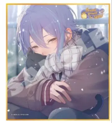 프로세카 카미시로 루이 색지 53C