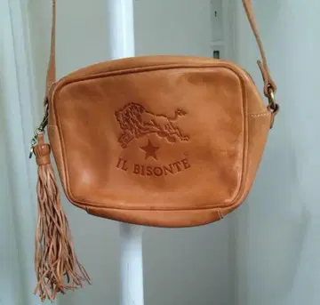 IL BISONTE 가죽 숄더백