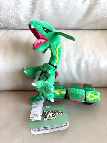 레쿠자 포켓몬 fit