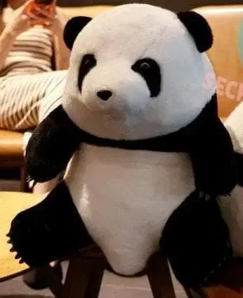 팬더 봉제 인형 통통하고 큰 50cm 새상품 귀여운