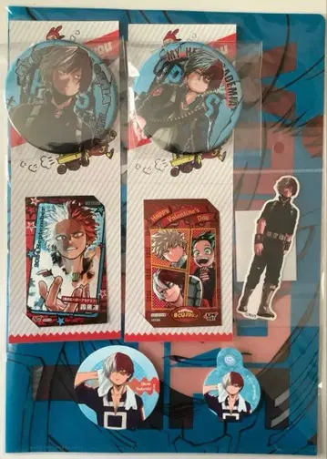 히로아카 토도로키 쇼토 묶음 판매