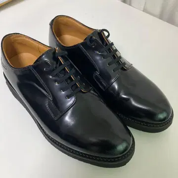 Danner 포스트맨 US 9 27cm