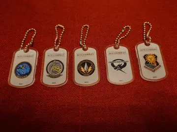 에이스 컴뱃 보틀 키퍼풍 아크릴 키링 5개 세트