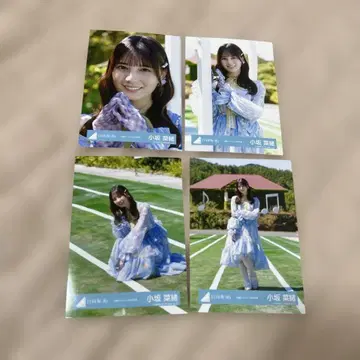 코사카 나오 부탁해 바흐! MV 의상 브로마이드 4종 컴프 히나타자카46