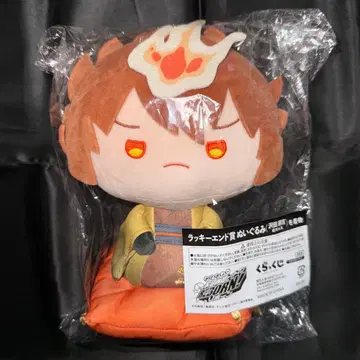 가정교사 히트맨 REBORN 럭키 엔드상 사와다 츠나요시 봉제 인형