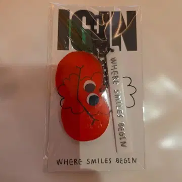 BTS JIN IGIN 키링 크리스마스 팝업 사과