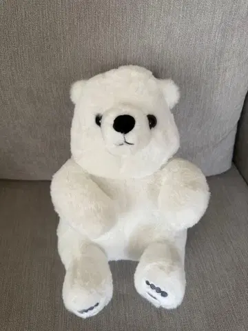 YELL 아기곰과 함께 곰 봉제 인형