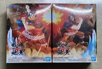 원피스 전광절경 도기 브로기 2체 세트