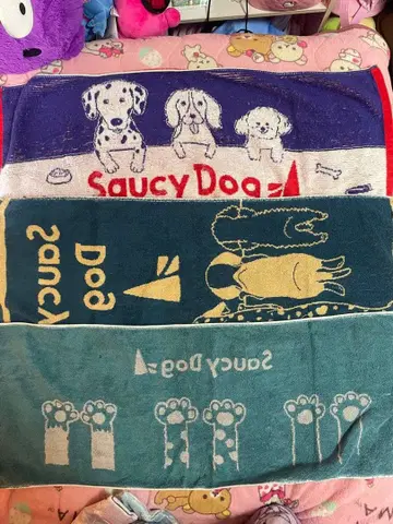 Saucy Dog 묶음 판매