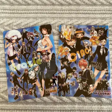 가정교사 히트맨 REBORN! 클리어 파일 세트