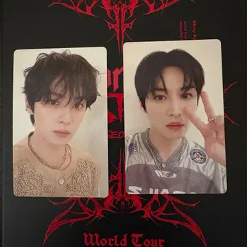 Stray Kids dominATE SEOUL DVD 포토카드 리노