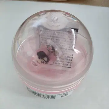 미치에다 슌스케 메지루시 참