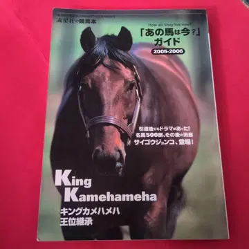 [ 그 말은 지금? ] 가이드 2005-2006