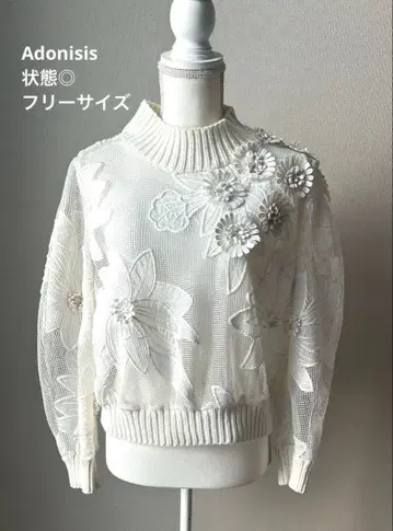 [애드니시스] 꽃무늬 자수 시스루 상의