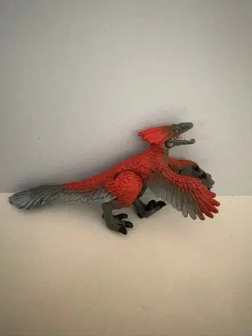 아니아 피로랩터