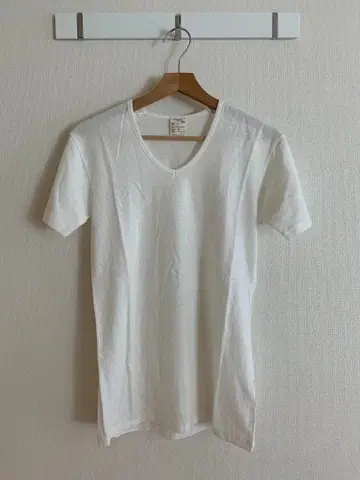 Inpaichthys kerri V넥 티셔츠