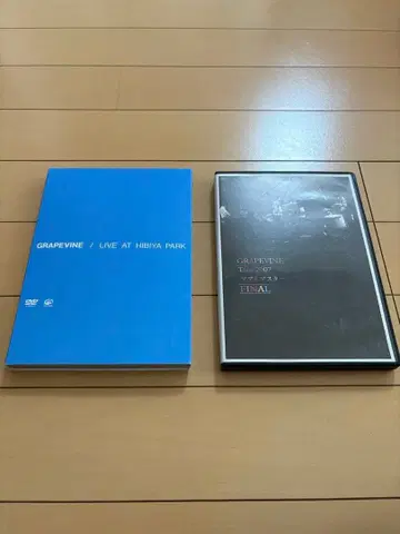 GRAPEVINE 라이브 DVD 2장 세트