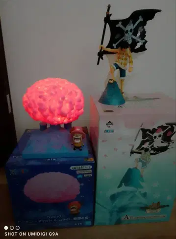 드럼 왕국 편 에모셔널 피규어 루피 초파 룸 라이트 기적의 벚꽃