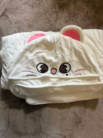 straykids skzoo 현진 지니 담요