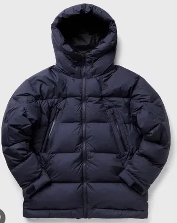 Goldwin GORE-TEX INFINIUM 다운 파카 다운