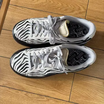 제브라 패턴 캐주얼 스니커즈