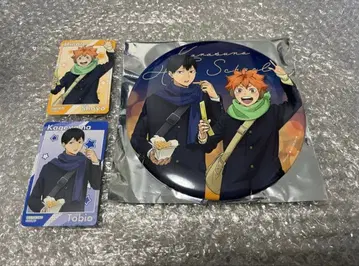 하이큐 코스모 월드 빅 배지 컬렉션 카드 카라스노 히나타 카게야마