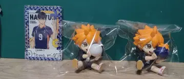 하이큐!! 히나타 쇼요 미니 피규어 2체 세트