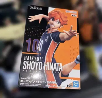 하이큐!! 포징 피규어 - 히나타 쇼요-