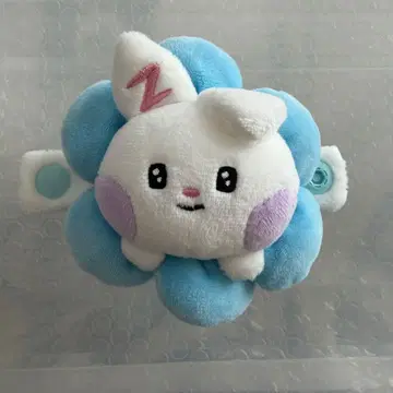 제베 제로니 유진 플러쉬 밴딩