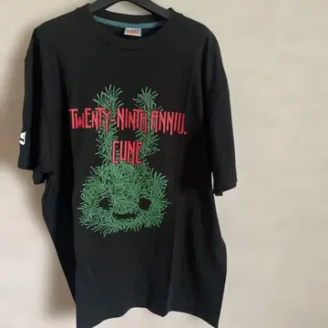 TWENTY-NINTH ANNIV. EUNE 티셔츠