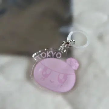 봉봉이 도쿄 표식 참 세부치 SEVENTEEN 축제 링던지기