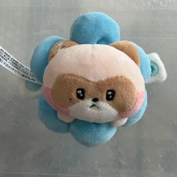 제베 제로니 장하오 하오 하니니 플러시 밴딩