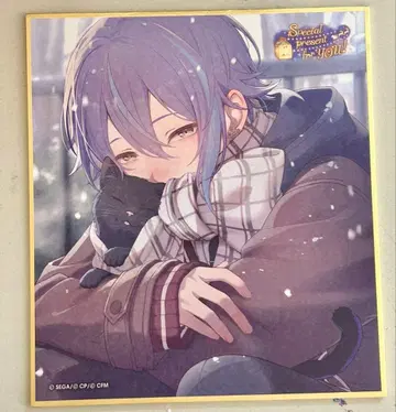 프로세카 카미시로 루이 색지 53c