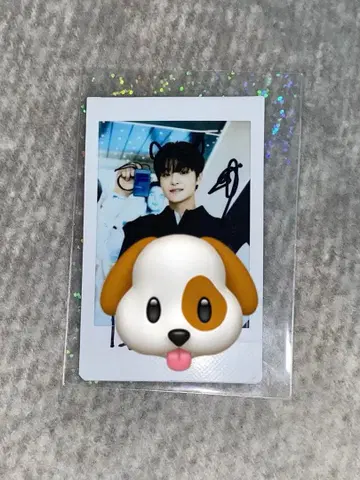 TREASURE 박지훈 친필 사인 폴라로이드