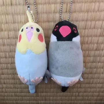 모노콤사 오카메 앵무새 사쿠라 문조