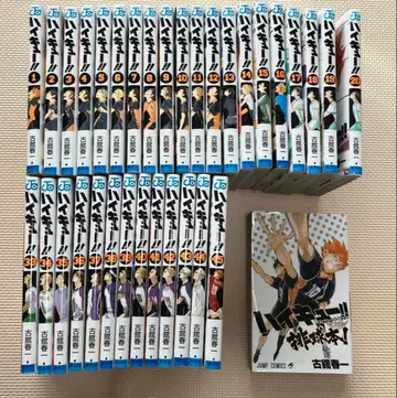 하이큐!! 1~20권, 33~45권, 배구 도서