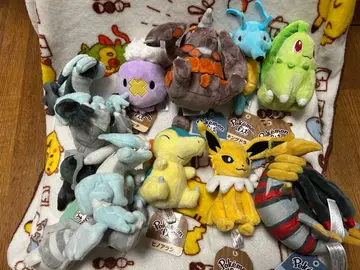 포켓몬 센터 포켓몬 fit 9종 묶음 판매