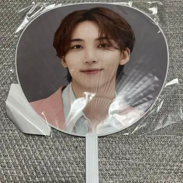 [ 미개봉 ] SEVENTEEN 정한 HARE 부채 덤 포함 ( 파일