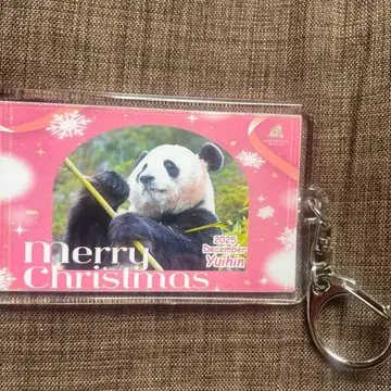 어드벤처 월드 팬더 유이힌 한정판 키링 패밀리