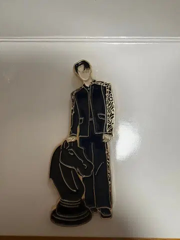 스키즈 FORCE 핀 배지 Stray Kids 한 시그 아이돌