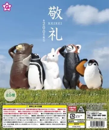 열두 피규어 경례 곰 곰 캡슐 토이 가챠 동물 피규어