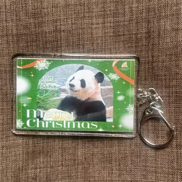 어드벤처 월드 팬더 채하림 한정 키링 패밀리