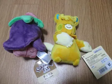 새상품 포켓몬 센터 봉제 인형 fit 체리미 오넨네 파모트