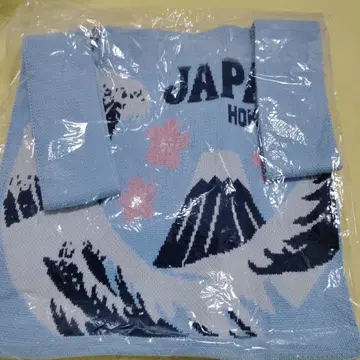 후지산과 벚꽃 토트백 DK-NT-501