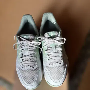 테니스화 에어러스 대시 5 와이드 GC 23.5cm